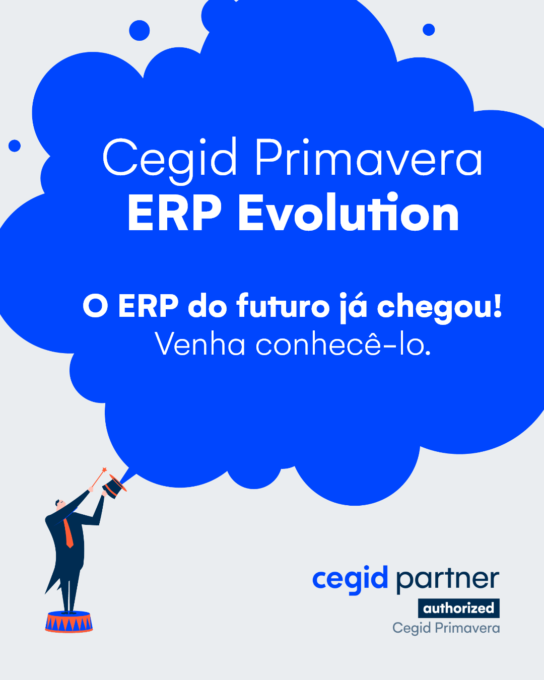 Primavera Software